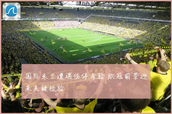 国际米兰遭遇伤停考验 欧冠前景迎来关键检验
