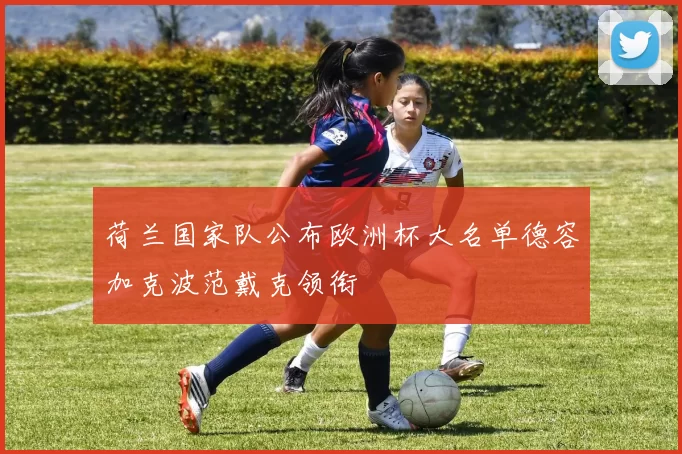 荷兰国家队公布欧洲杯大名单德容加克波范戴克领衔