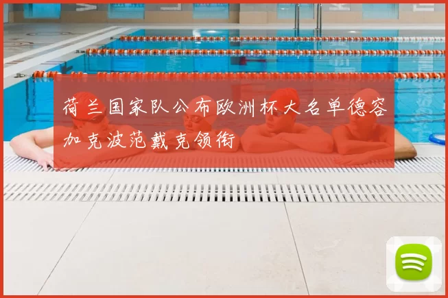 荷兰国家队公布欧洲杯大名单德容加克波范戴克领衔