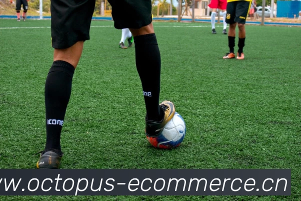 BETWAY网页版在线登录 - BETWAY(中国)平台生态图